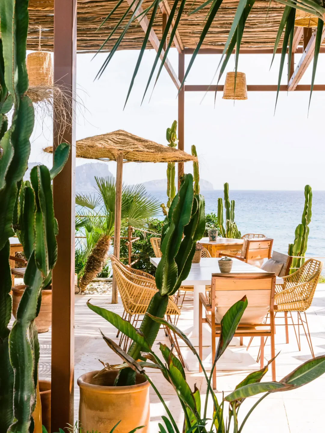 Atzaro Ibiza beach club exterior with cacti, rattan chairs, and sea view from the city.