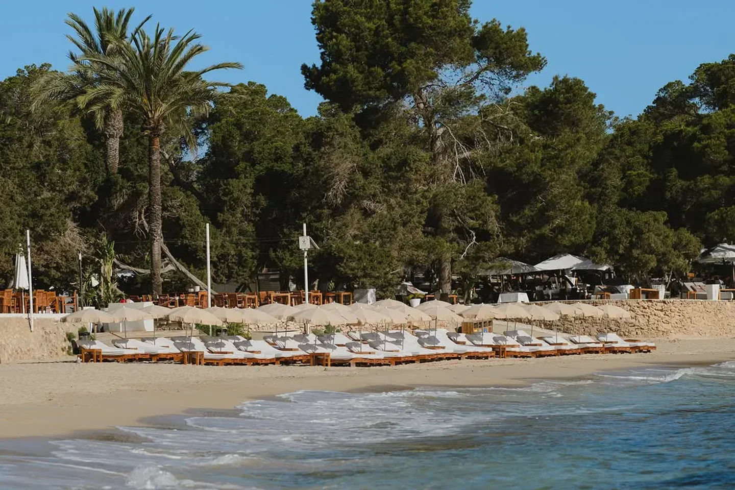 Cala Bassa Beach Club in Ibiza offers a serene beachfront with rows of sun loungers and umbrellas.