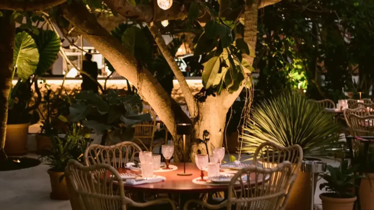 Outdoor dining at ZITYA Ibiza restaurant, under tree with cozy wicker chairs.